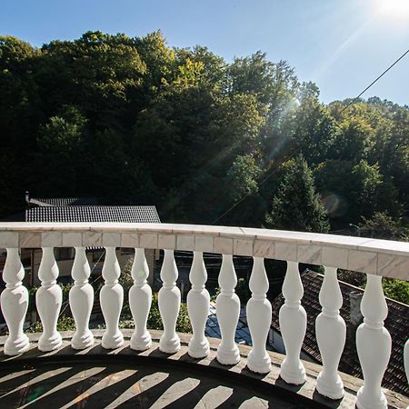 Pensiune Forest Park Baia Mare Eksteriør bilde