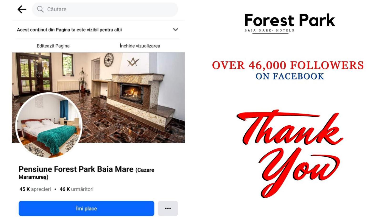 Pensiune Forest Park Baia Mare Eksteriør bilde