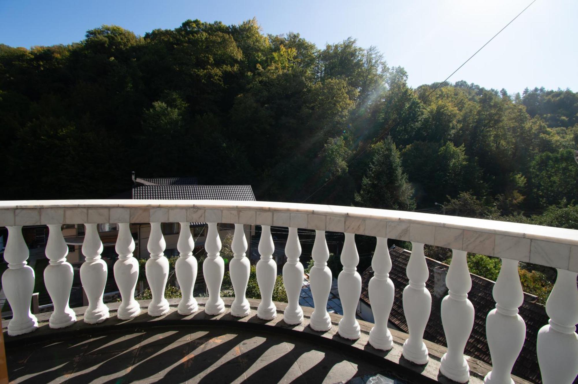Pensiune Forest Park Baia Mare Eksteriør bilde